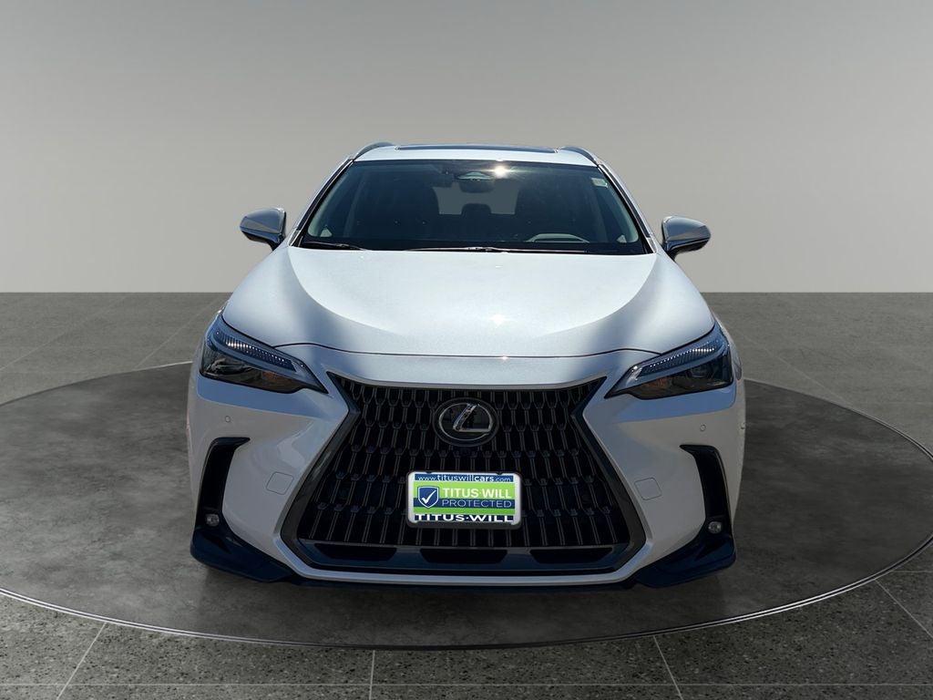 2024 Lexus NX — side profile view