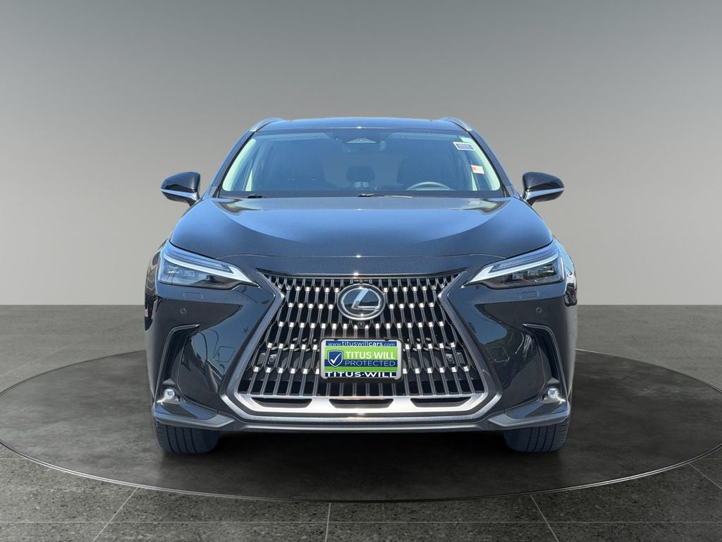 2024 Lexus NX — side profile view